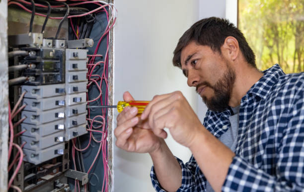 Best Home Electrical Repair  in Tuntutuli, AK
